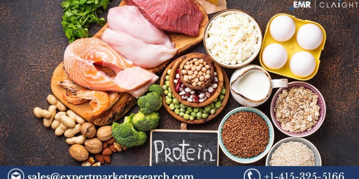 United States Protein Market Size, Share & Trends 2025-2034