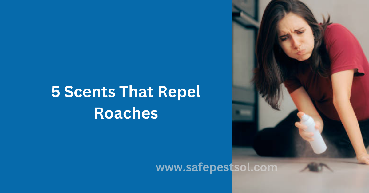 5 Scents That Naturally Repel Roaches - Safe Pest Sol