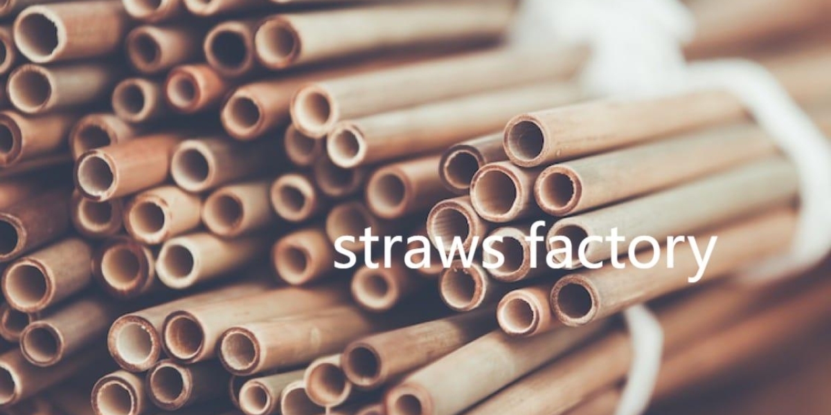 Reducing Plastic Waste with Sustainable Straw Alternatives