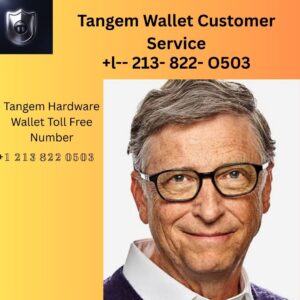 9 Ways to Communicate with American Airlines Customer Service Help Number By Phone, Chat, And Email: Step By Step Guide